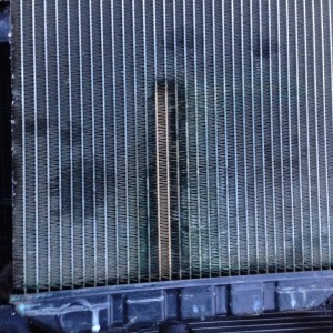 1463076_560834097329064_323157981_n